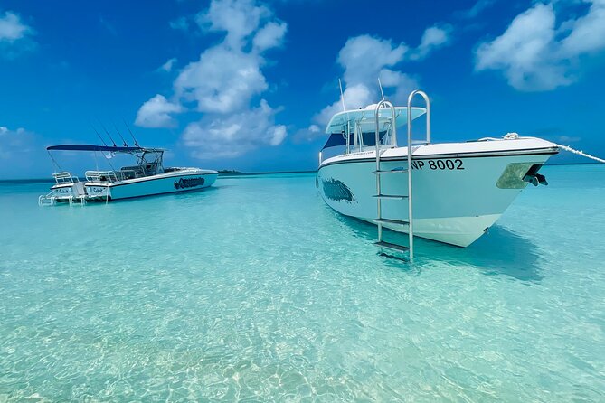 Bahamas Adventure: Pigs, Reef, Turtles, and Beach With Lunch - Tour Overview