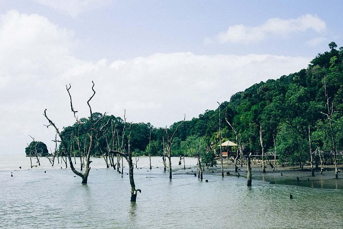 Bako National Park From Kuching City - Key Points