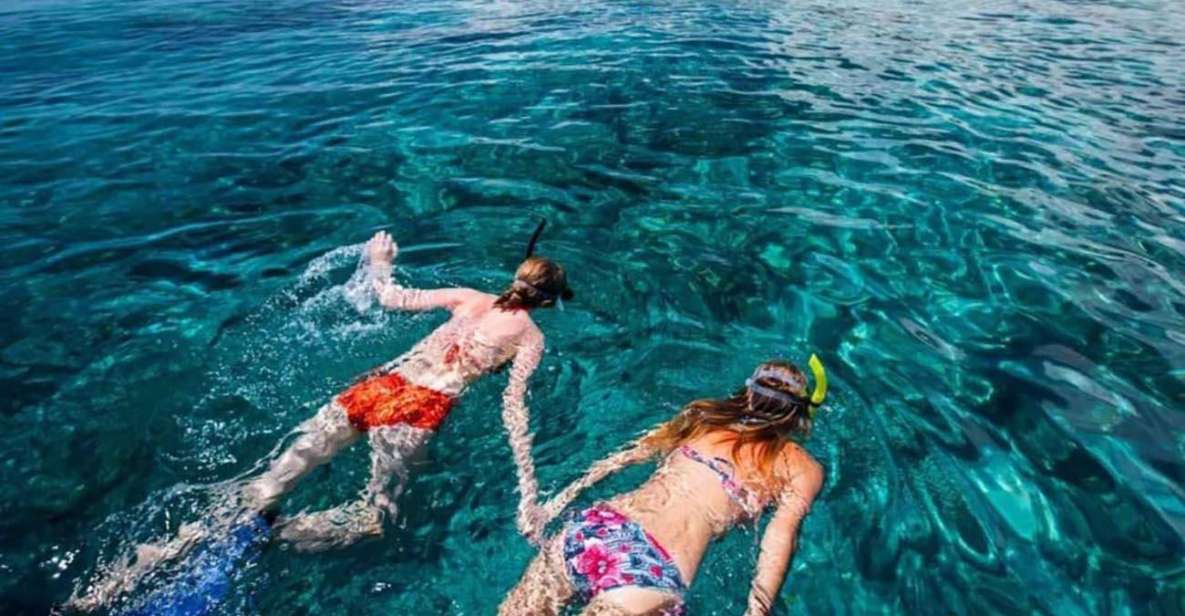 Bali: Dolphin Watching, Snorkeling & Hot Spring Tour - Key Points