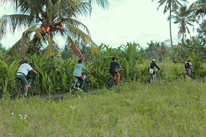 Bali Eco Cycling Tour - Key Points