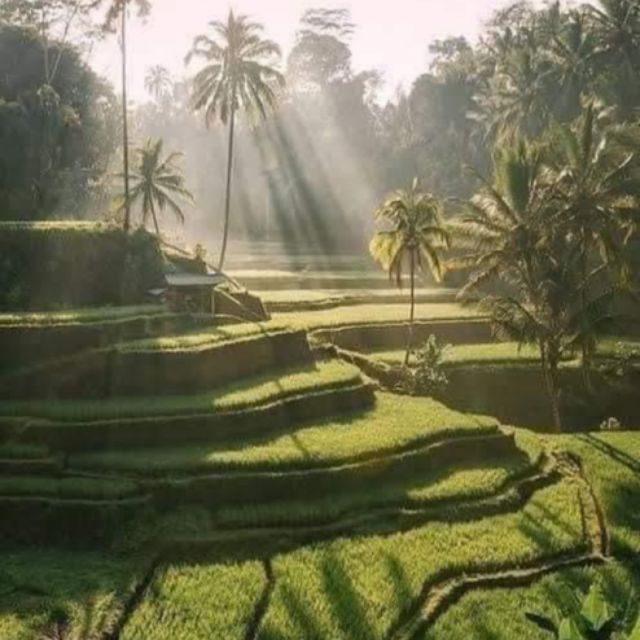 Bali Full Day Optional Tour Packages - Key Points