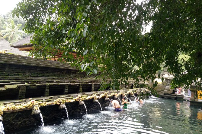 Bali Holy Bathing Ritual and Ubud Highlights Tour - Key Attractions