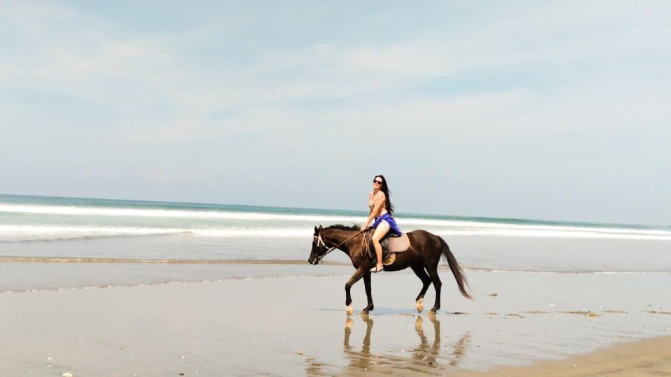 Bali: Horse Riding Tour on Seminyak Beach Include Transport - Key Points