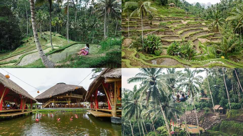 Bali: Kuta / Canggu / Ubud / Waterfall / Tegalalalang / Kintamani - Key Points