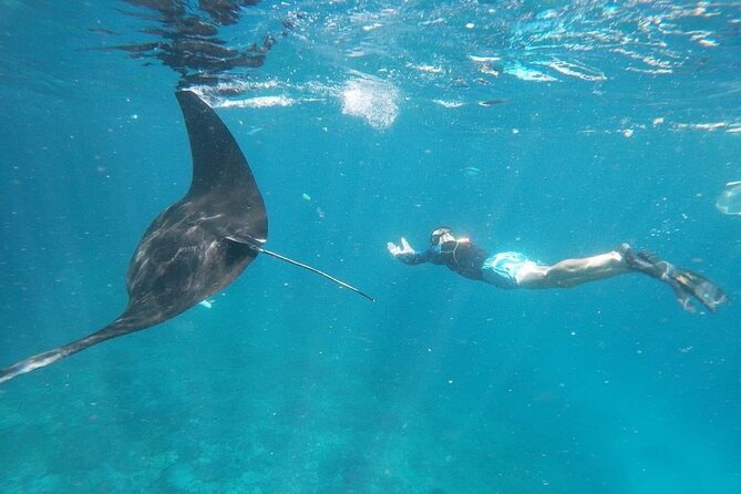Bali Private Snorkeling (Manta, Sea Cucumber, Crystal) and Nusa Penida Tour - Key Points