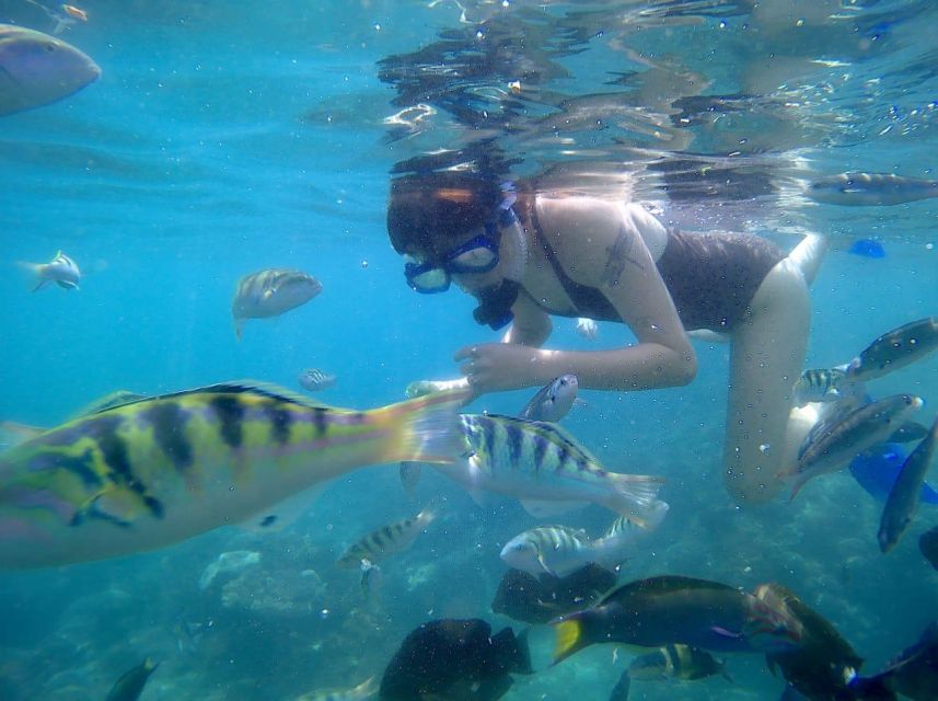 Bali: Private Snorkeling To Blue Lagoon And Tanjung Jepun - Key Points