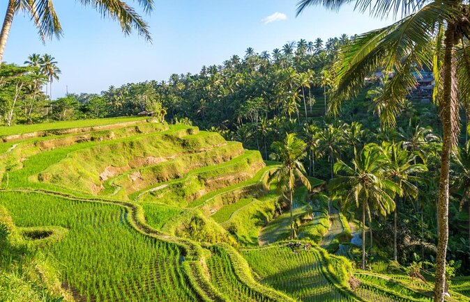 Bali Swing With Tukad Cepung Waterfalls - Key Points