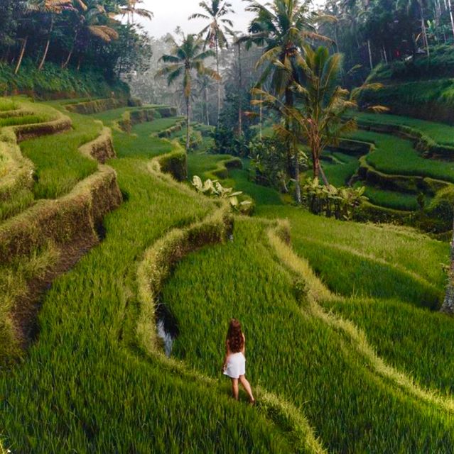 Bali: Ubud Highlights Private Tour With All Entrance Tickets - Key Points