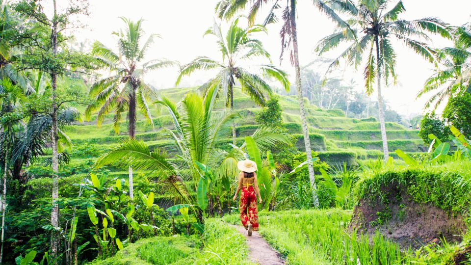 Bali: Ubud Rice Terraces, Monkey Forest & Waterfall Tour - Tour Overview