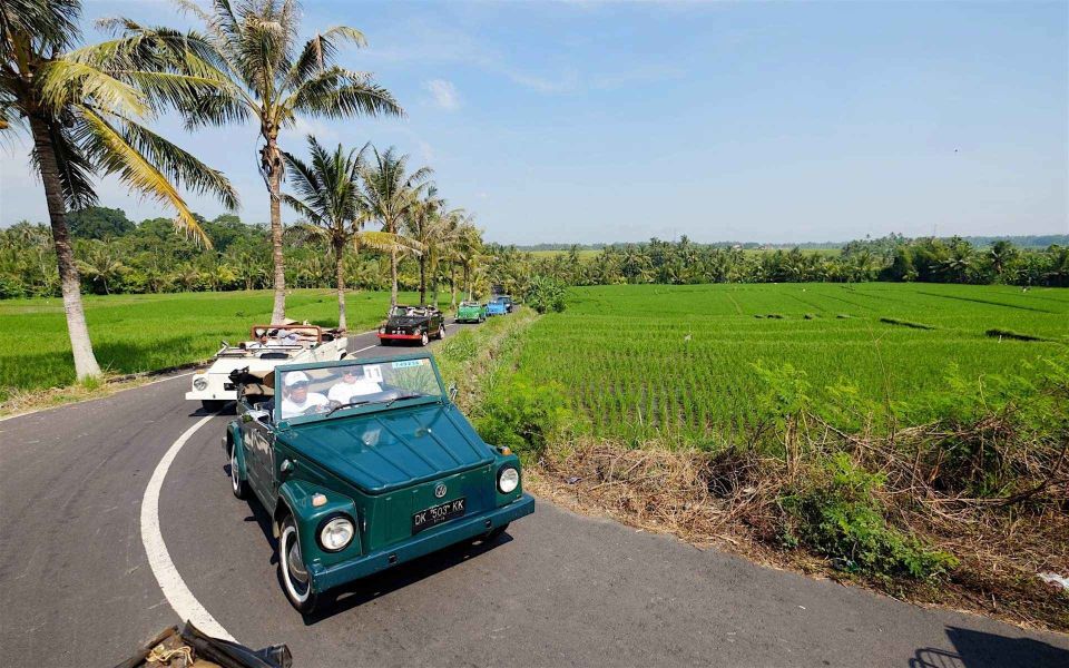 Bali: Vintage VW Jeep Countryside Safari - Key Points