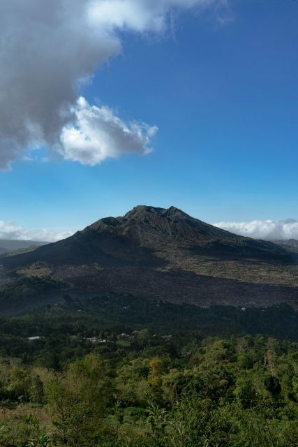 Bali Volkswagen Safari and Kintamani Volcano Tour - Key Points