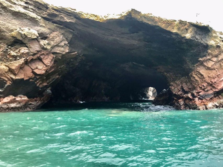 Ballestas Islands Tour - Paracas - Key Points