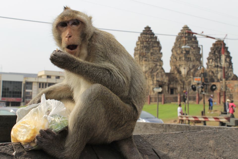 Bangkok: Private Car Hire to Lopburi the Monkey City - Key Points