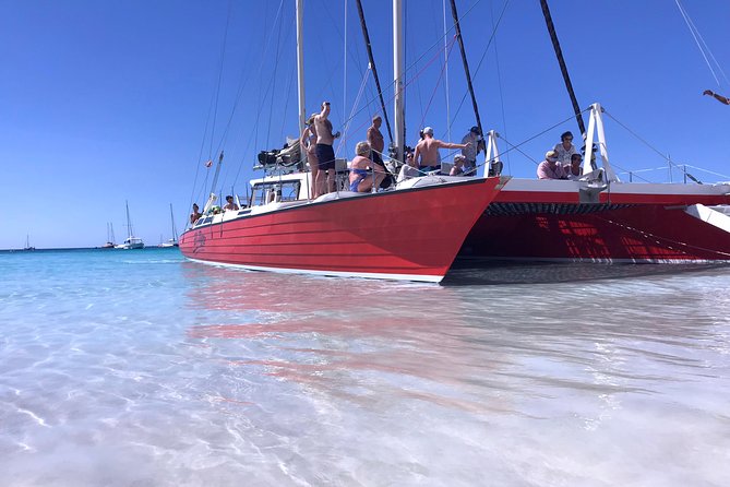 Barbados Catamaran Turtle and Shipwreck Snorkeling Cruise - Key Points