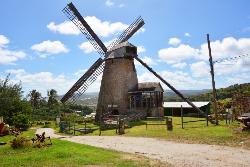 Barbados: Island Tour With Animal Flower Cave and Lunch - Key Points