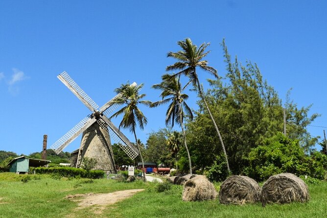 Barbados Shore Excursion Island Tour and Snorkel Cruise - Overview of the Excursion