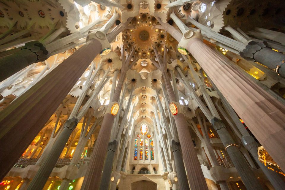 Barcelona: Sagrada Familia Fast Track Guided Tour - Key Points