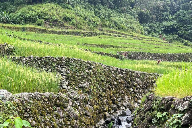 Batad Guided Tour - Tour Overview