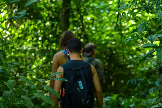 Bathing in the Forest Trail in Foz Do Iguaçu - Meeting Location and Transport