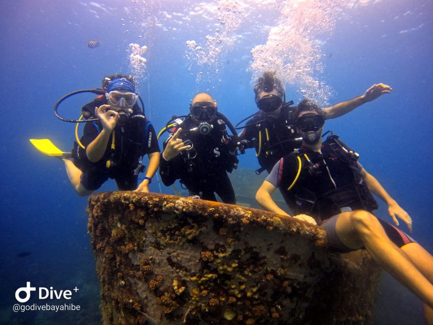 Bayahibe - PADI Open Water Course - Go Dive - Key Points