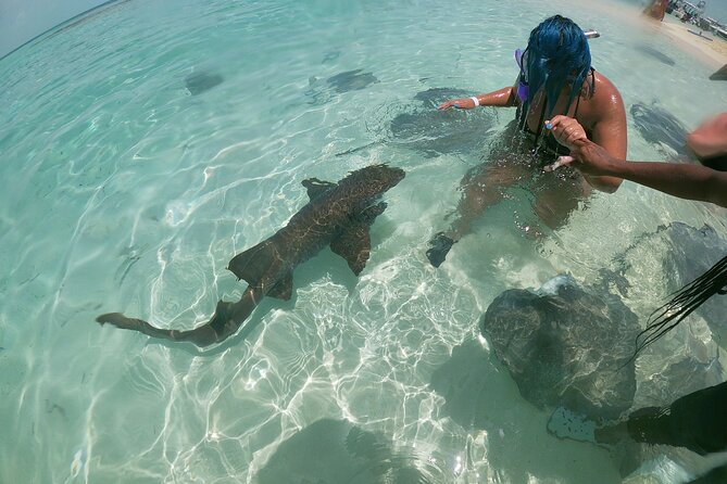 Be Your Own Captain Adventure: Bimini, Nassau, Exuma or Eleuthera - Overview of the Out Islands