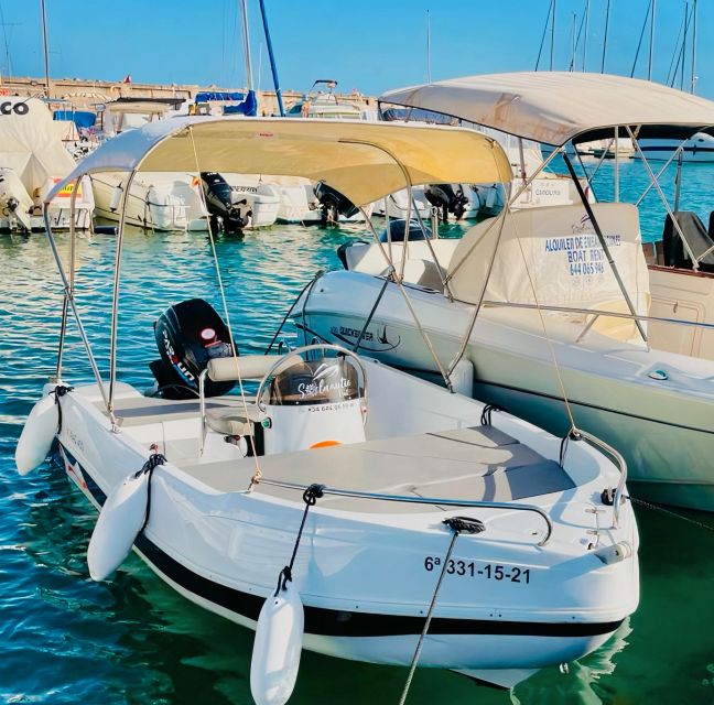 Benalmádena: Rent Boat Without License for Dolphin Watching - Key Points