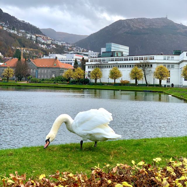 Bergen Discovery By Car