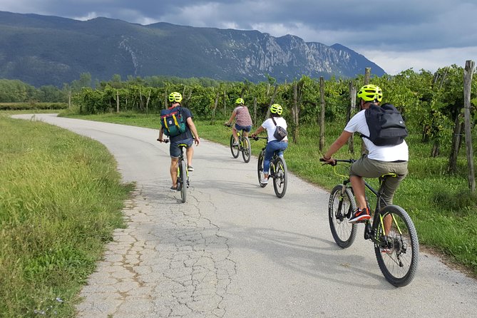 Bike and Wine in Vipava Valley - Overview of Vipava Valley