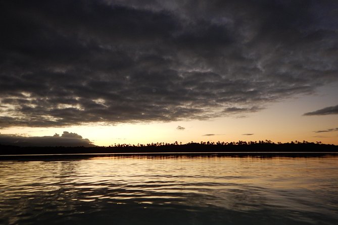 Bio Bay Kayak Tour in Fajardo - Tour Details