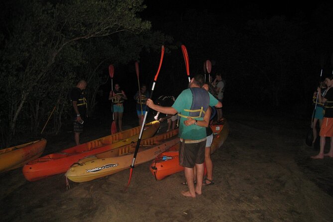 Bioluminescent Bay Kayak Trip From Vieques - Overview of the Tour