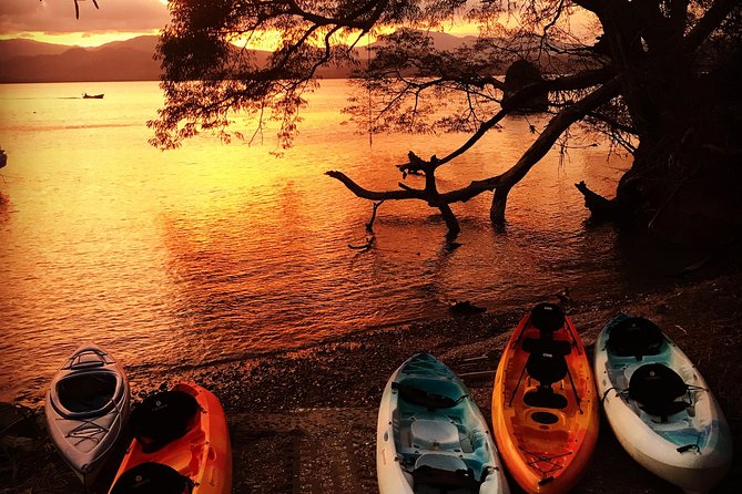 Bioluminescent Kayak Tour - Overview of Bioluminescence