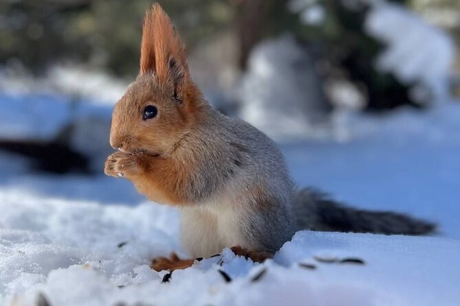 Bishkek'S Finest: Ala Archa Nature Park Essential Tour - Key Points
