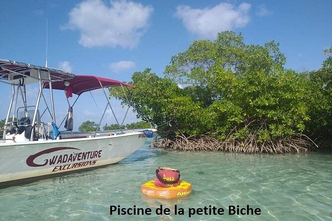 Boat Trip Visit Mangroves, Islets and Lagoon - Exploring the Mangrove Ecosystem