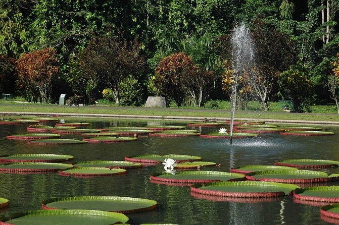 Bogor Botanical Garden, Waterfall, Mountain Springs & Rice Field - Key Points