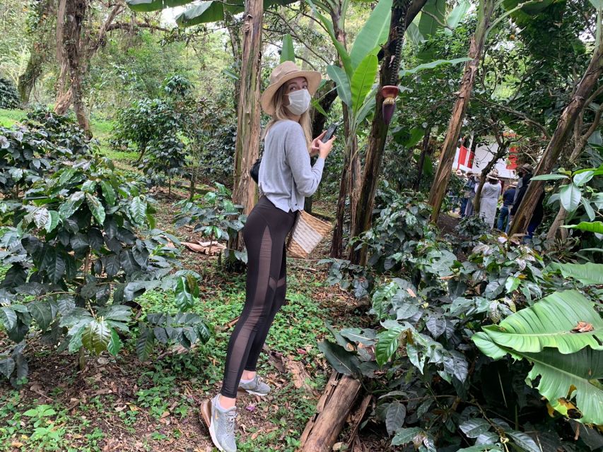 Bogotá: Guided 5-Hour Coffee Farm Tour - Key Points