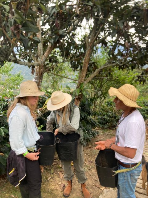 Bogota: Private Coffee Tour in Silvania - Coffee Farm - Key Points