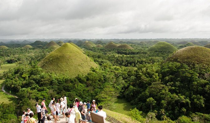 Bohol Day Tour With Round-Trip Transfers From Cebu - Key Points