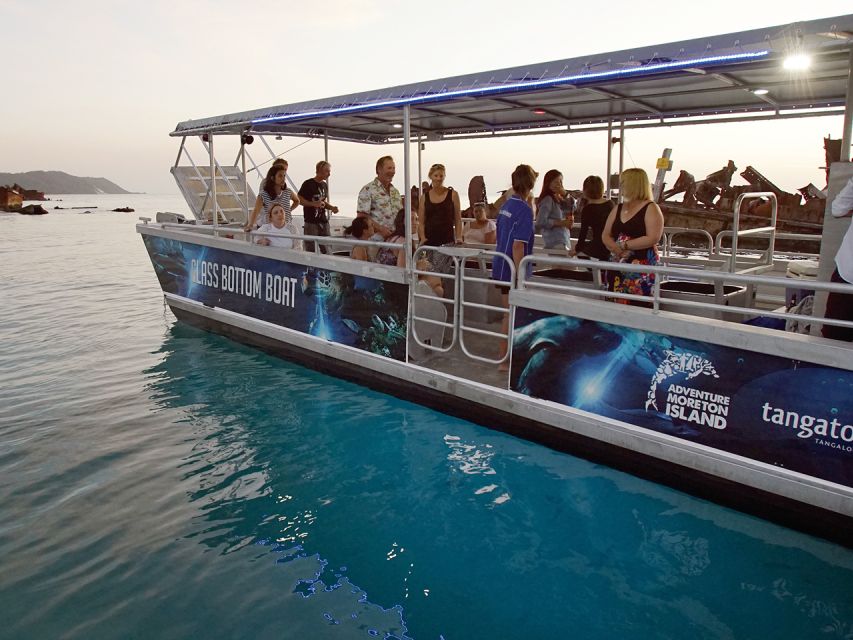 Brisbane: Tangalooma Marine Discovery Day Cruise Transfers - Key Points