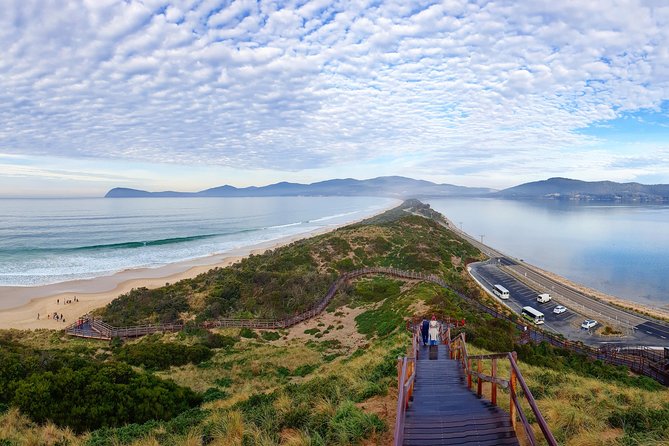 Bruny Island Food, Sightseeing, Guided Lighthouse Tour & Lunch