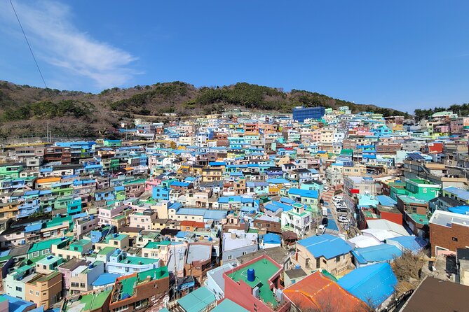 Busan Half-Day Private Tour in English (Upto 5 Pax) - Key Points