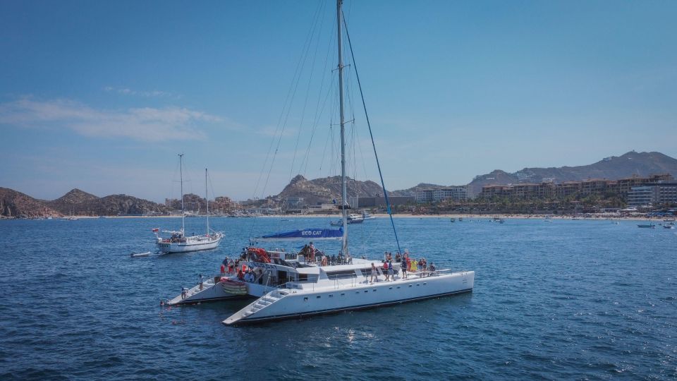 Cabo: Land's End Snorkeling With Open Bar - Key Points