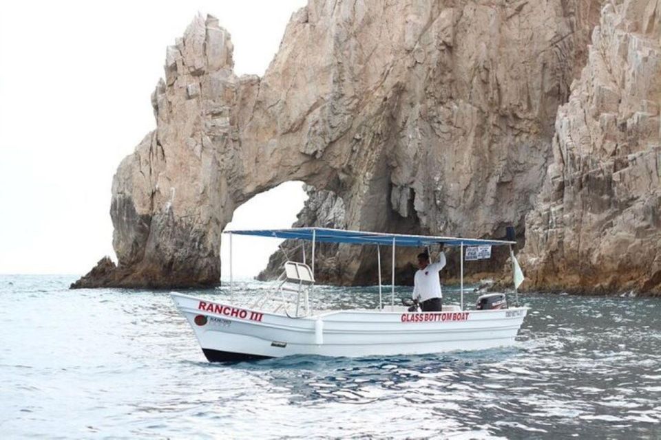 Cabo San Lucas: 45-Minute Glass-Bottom-Boat Tour - Key Points