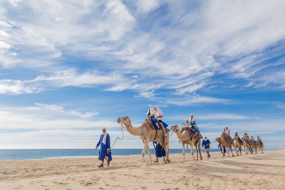 Cabo San Lucas: Camel Safari Tour With Lunch and Tequila - An Unforgettable Camel Adventure