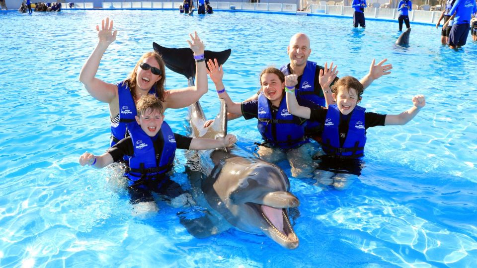 Cabo San Lucas: Swim Excursion With Dolphin Interaction - About the Dolphin Swim Excursion