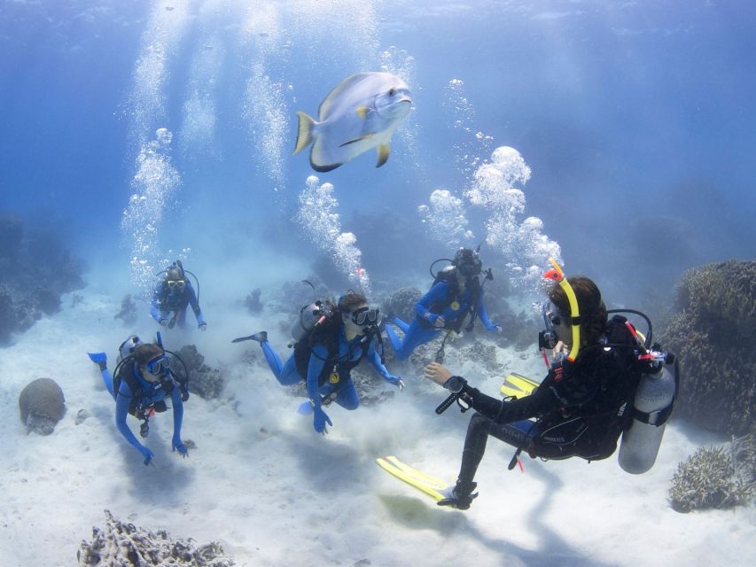 Cairns: 4-Day PADI Open Water Course - Key Points