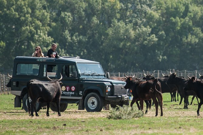 Camargue 4x4 Safari From La Grande Motte (Half Day Trip) - Good To Know