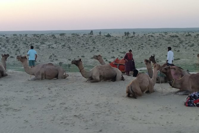 Camel Safari - Key Points