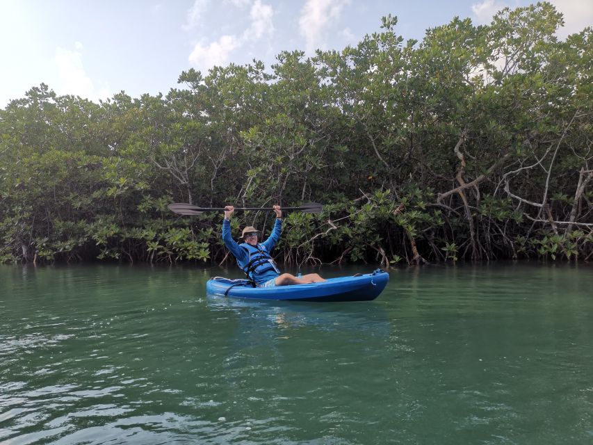 Cancun: 3-Hour Kayak Tour in Nichupte Lagoon - Key Points