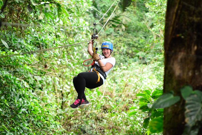 Canopy & Tarzan Swing In The Base of The Arenal Volcano - Tour Highlights and Features