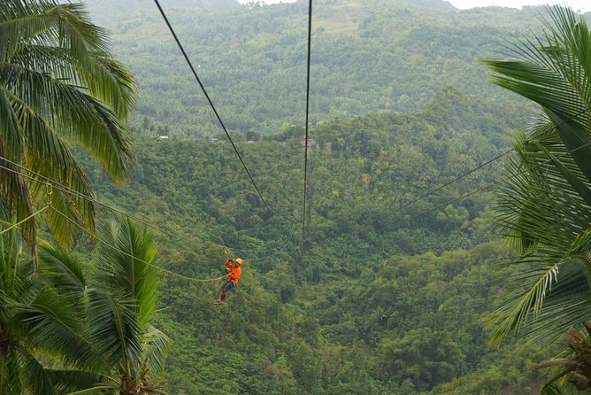 Canyoneering Experience in Kawasan Falls With Lunch - Overview of the Experience